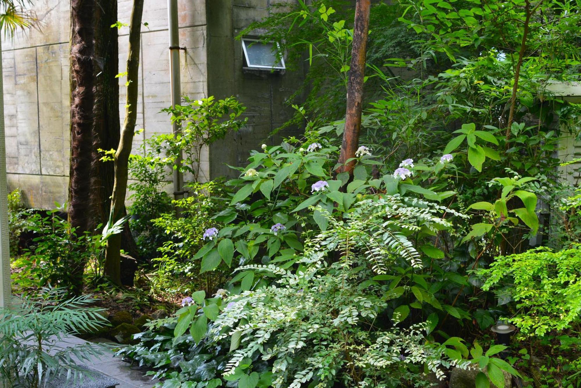 Hakone Mori No Yado Exterior foto
